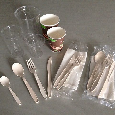 PIATTO BISCOMPARTO POLPA DI CELLULOSA 50 pezzi